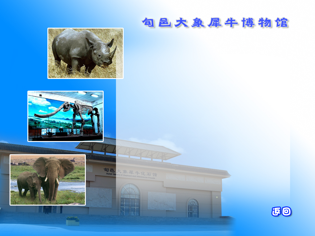旬邑县大象犀牛博物馆“多媒体触摸查询系统”顺利交工。